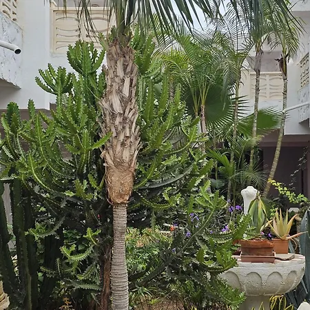 Estudio Stephane Chapparal Costa Del Silencio *