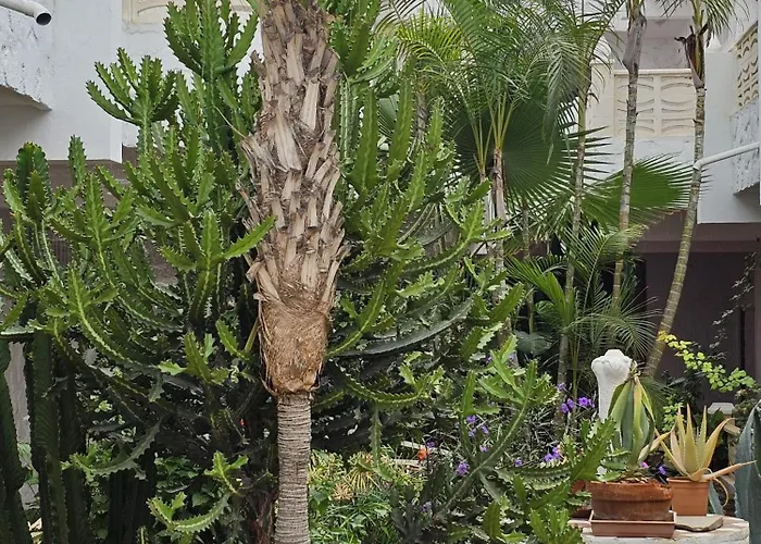 Estudio Stephane Chapparal Costa Del Silencio *